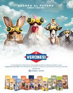 Veronesi-Advertising-SACCHI