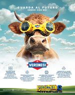 Veronesi-Advertising-TORO