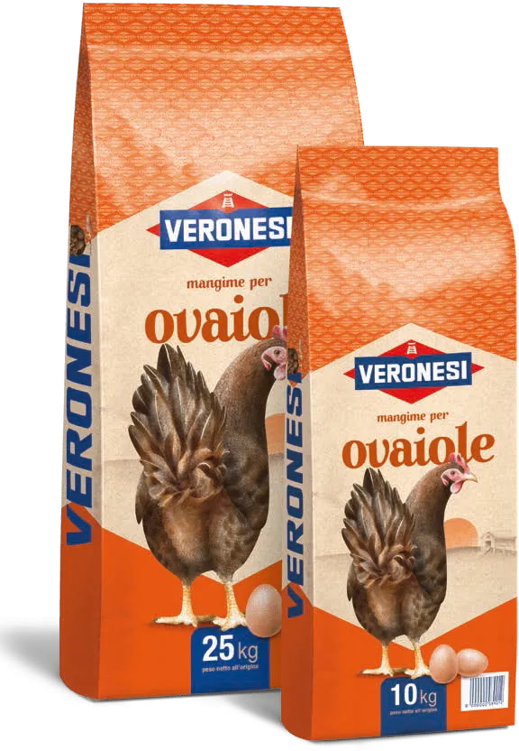 Mangime per galline ovaiole, allevamento galline ovaiole, Mangimi Veronesi